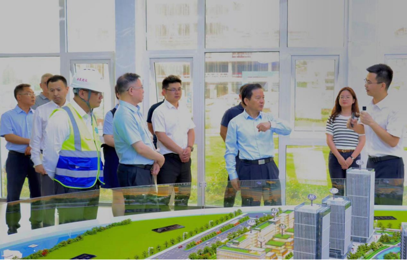 徐建平到岳陽自貿片區(qū)數字經濟產業(yè)綜合體建設項目調研