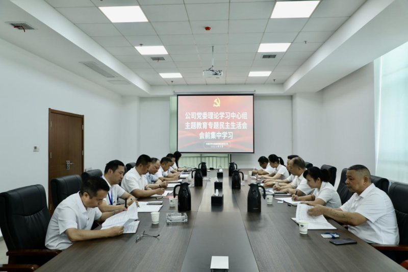 公司黨委理論學(xué)習(xí)中心組舉行主題教育專題民主生活會(huì)會(huì)前集中學(xué)習(xí)