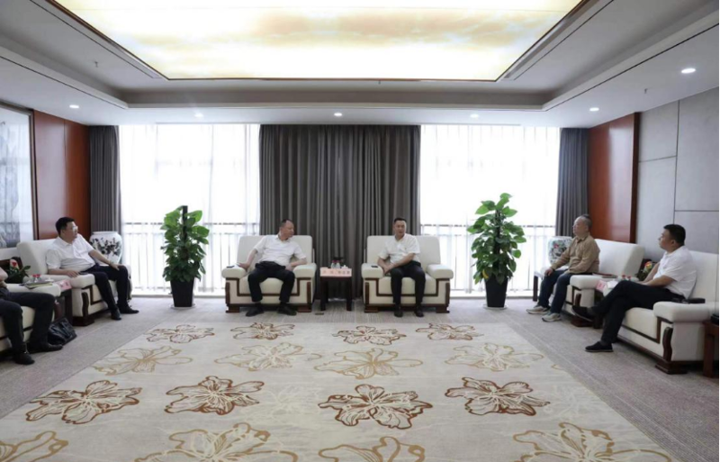 周鴻與湖南輕鹽集團(tuán)黨委副書記、副董事長、總經(jīng)理李志勇舉行會(huì)談